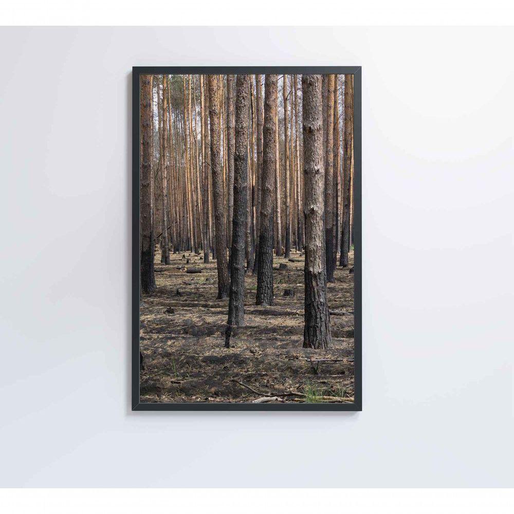 Quadro Eucaliptos 40x60 Cm Tecido Canvas - 7