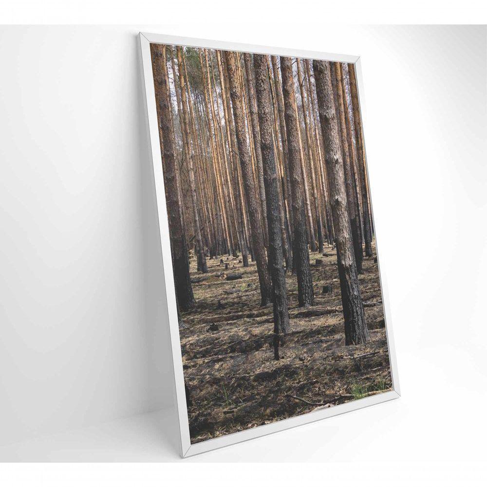 Quadro Eucaliptos 60x90 Cm Tecido Canvas - 4