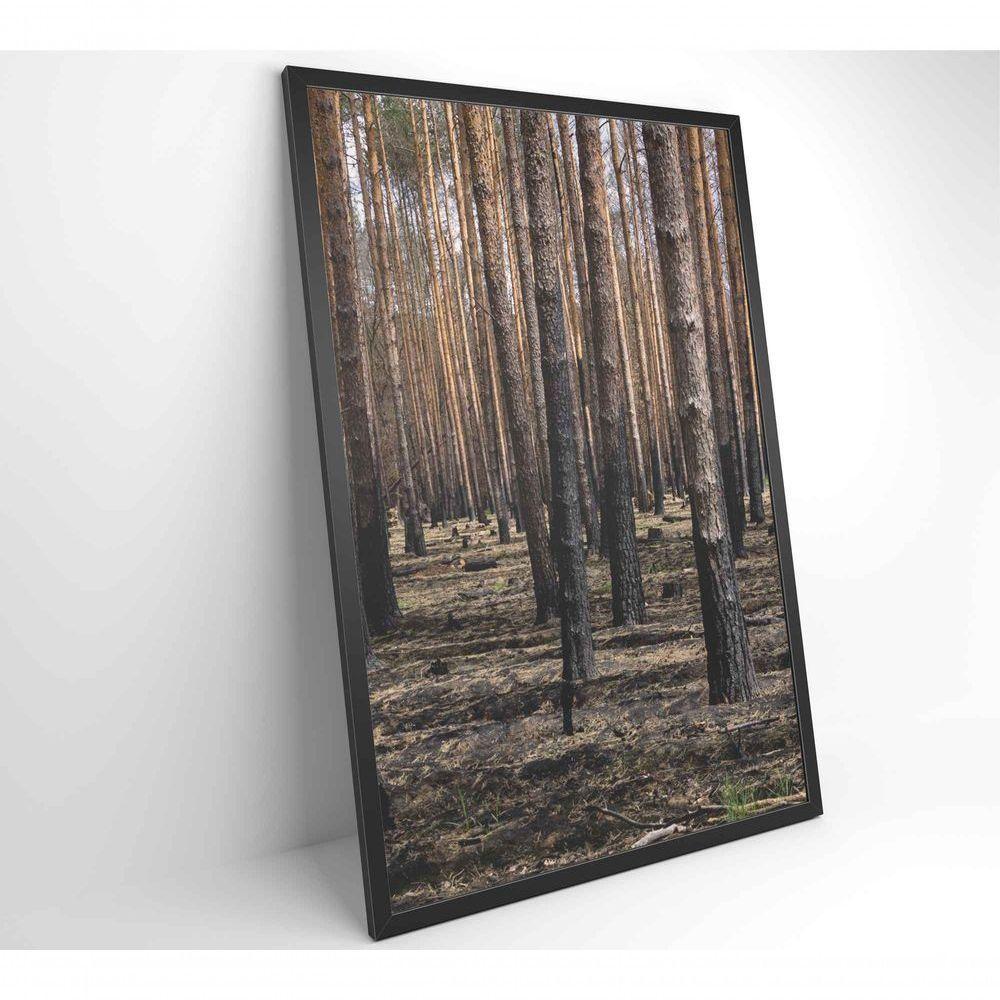 Quadro Eucaliptos 60x90 Cm Tecido Canvas - 6