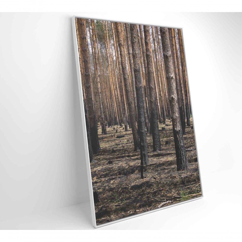 Quadro Eucaliptos 60x90 Cm Tecido Canvas - 8