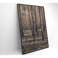 Quadro Eucaliptos 60x90 Cm Tecido Canvas - 2