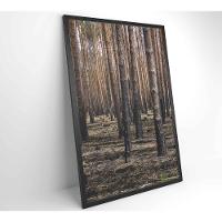 Quadro Eucaliptos 60x90 Cm Tecido Canvas - 6