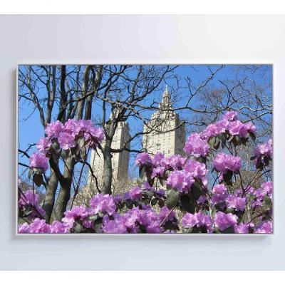Quadro Flores Central Park 120x80 Cm Vidro Impresso