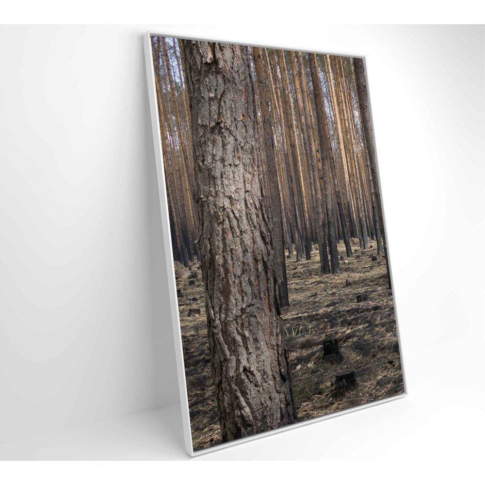 Quadro Eucaliptos 2 80x120 Cm Vidro Impresso - 2