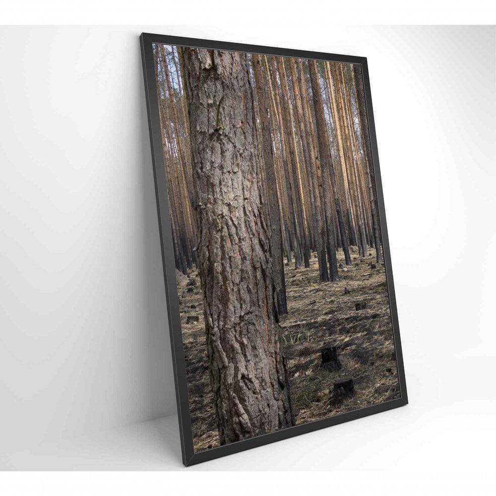 Quadro Eucaliptos 2 80x120 Cm Vidro Impresso - 4