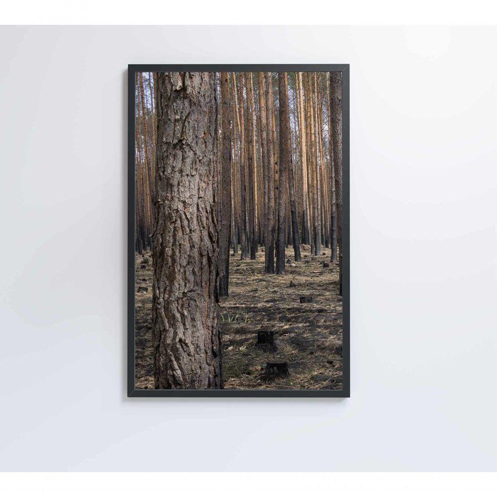 Quadro Eucaliptos 2 80x120 Cm Vidro Impresso - 5