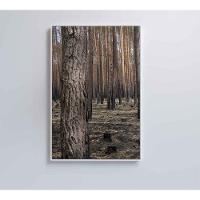 Quadro Eucaliptos 2 80x120 Cm Vidro Impresso - 5