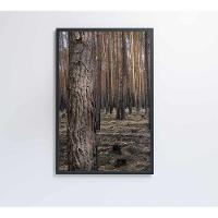 Quadro Eucaliptos 2 80x120 Cm Vidro Impresso - 9