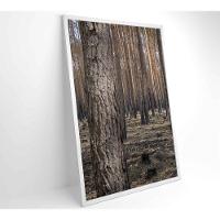 Quadro Eucaliptos 2 80x120 Cm Vidro Impresso - 11