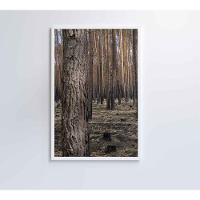 Quadro Eucaliptos 2 80x120 Cm Vidro Impresso - 13