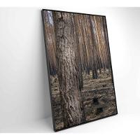 Quadro Eucaliptos 2 80x120 Cm Vidro Impresso - 14