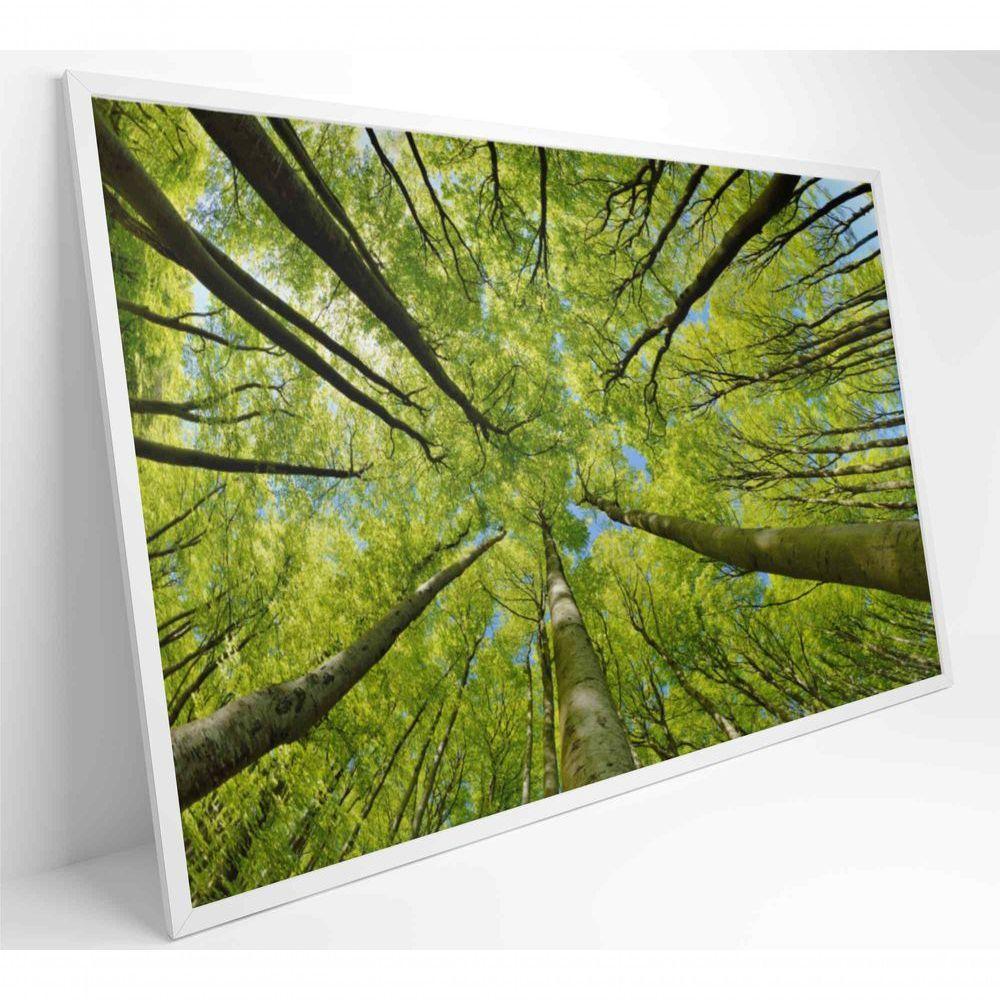 Quadro árvores 120x80 Cm Adesivo Fotográfico - 8