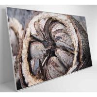 Quadro Castanha Do Pará Amazônia 90x60 Cm Tecido Canvas - 8