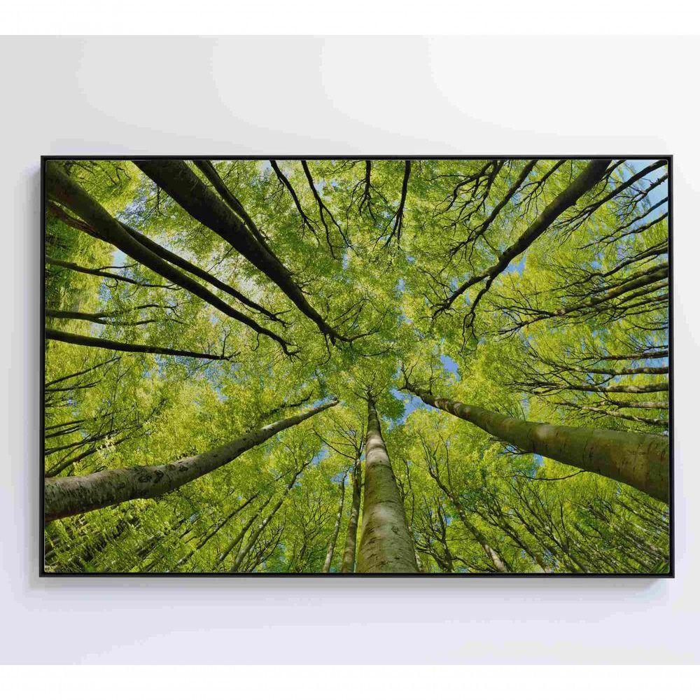 Quadro árvores 120x80 Cm Tecido Canvas - 3