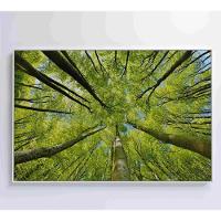 Quadro árvores 120x80 Cm Tecido Canvas - 2