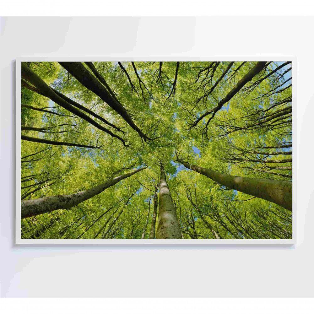 Quadro árvores 60x40 Cm Tecido Canvas - 4