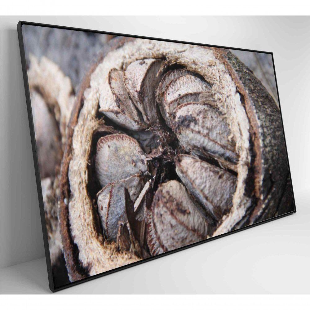 Quadro Castanha Do Pará Amazônia 120x80 Cm Vidro Impresso - 7