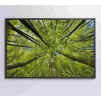 Quadro árvores 120x80 Cm Vidro Impresso - 1