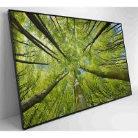 Quadro árvores 120x80 Cm Vidro Impresso - 5