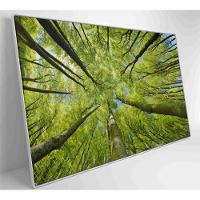 Quadro árvores 120x80 Cm Vidro Impresso - 6