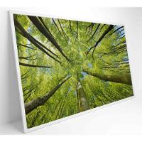 Quadro árvores 120x80 Cm Vidro Impresso - 8