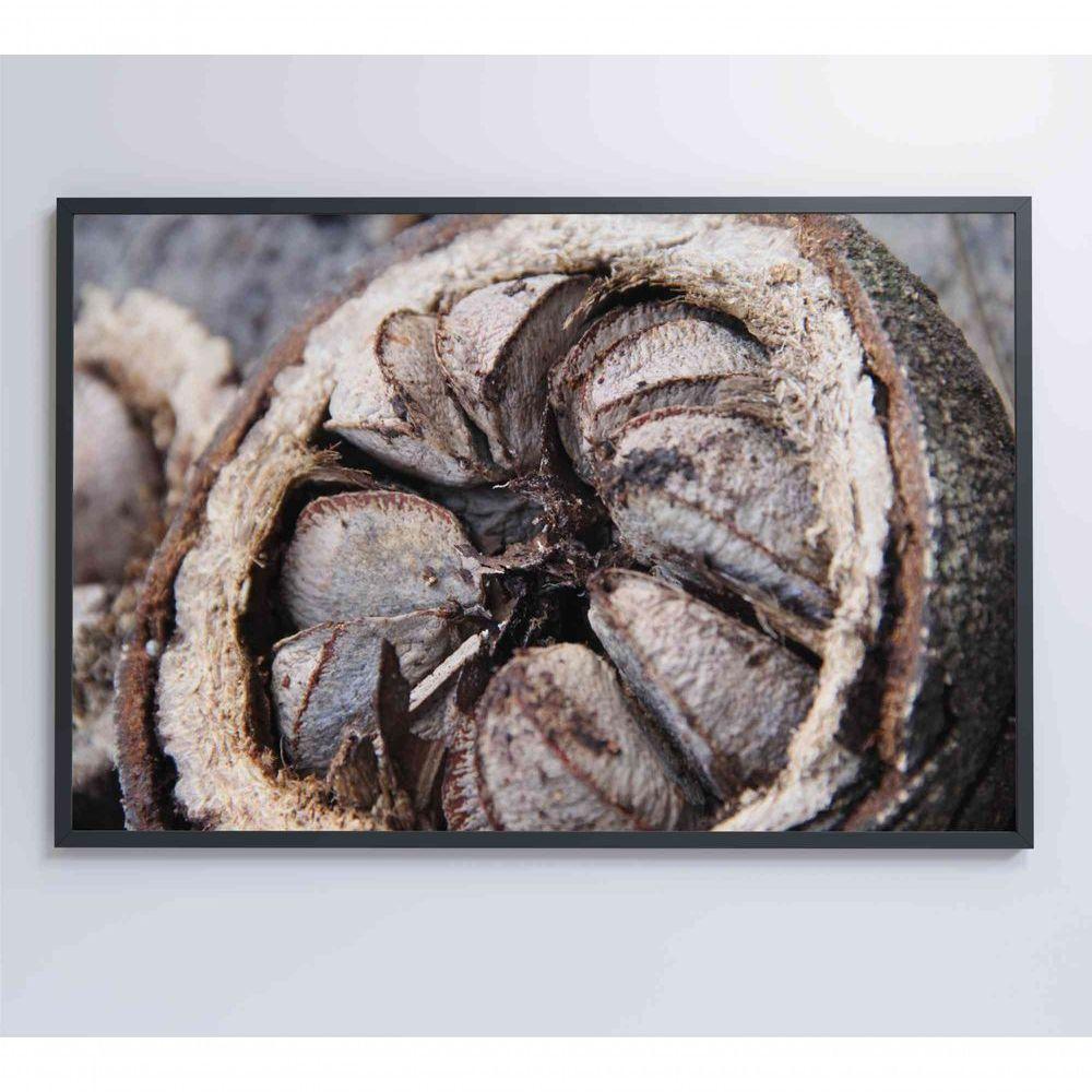 Quadro Castanha Do Pará Amazônia 60x40 Cm Vidro Impresso - 3