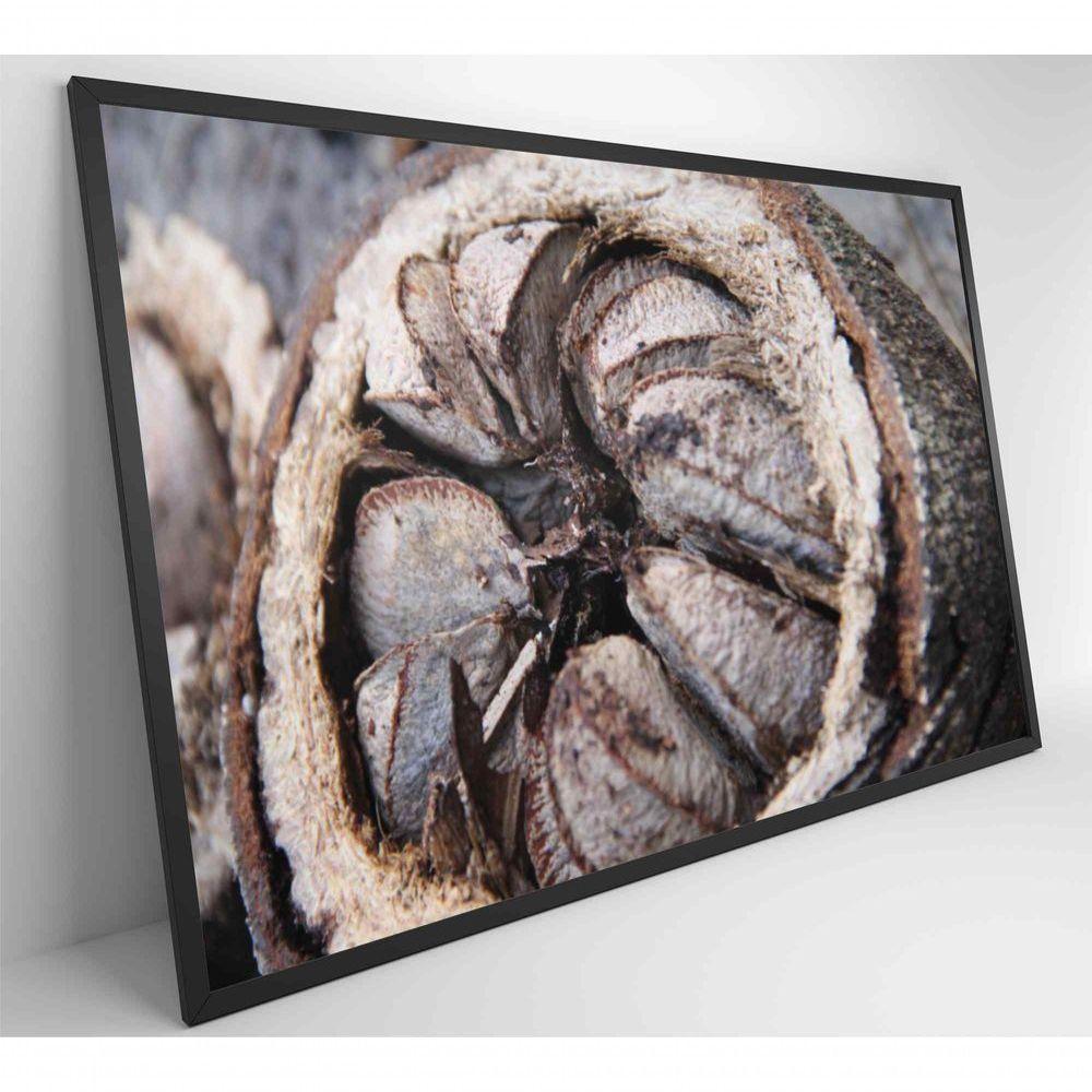 Quadro Castanha Do Pará Amazônia 60x40 Cm Vidro Impresso - 6