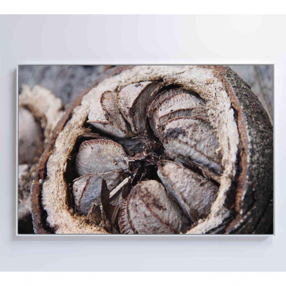 Quadro Castanha Do Pará Amazônia 120x80 Cm Tecido Canvas - 5