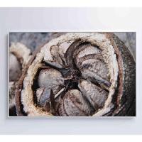 Quadro Castanha Do Pará Amazônia 120x80 Cm Tecido Canvas - 5