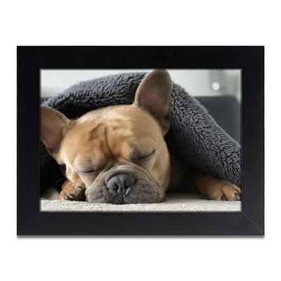 Porta-retratos Kit 3 Quadros Molduras Com Vidros