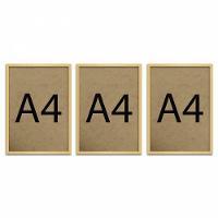 Kit 3 Molduras Quadro Certificado A4 Com Fundo Mdf Marfim - 7