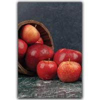 Kit Placas Quadros Decorativos 3 Peças Mdf 20x30 Maçãs - 4