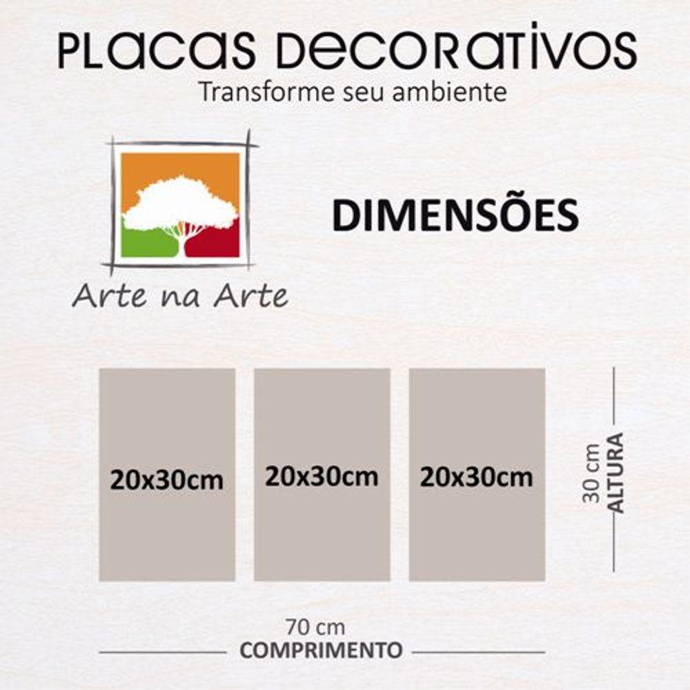 Kit Placas Quadros Decorativos 3 Pçs Mdf 20x30 Floridas - 3