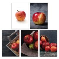 Kit Placas Quadros Decorativos 5 Peças Mdf 20x30 Maçãs - 1