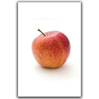 Kit Placas Quadros Decorativos 5 Peças Mdf 20x30 Maçãs - 2