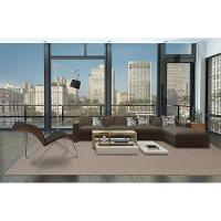 Tapete Para Sala Lumiere N Amendoa 3,00x4,00 São Carlos - 2