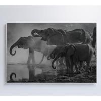 Quadro Elefantes 90x60 Cm Vidro Impresso - 6