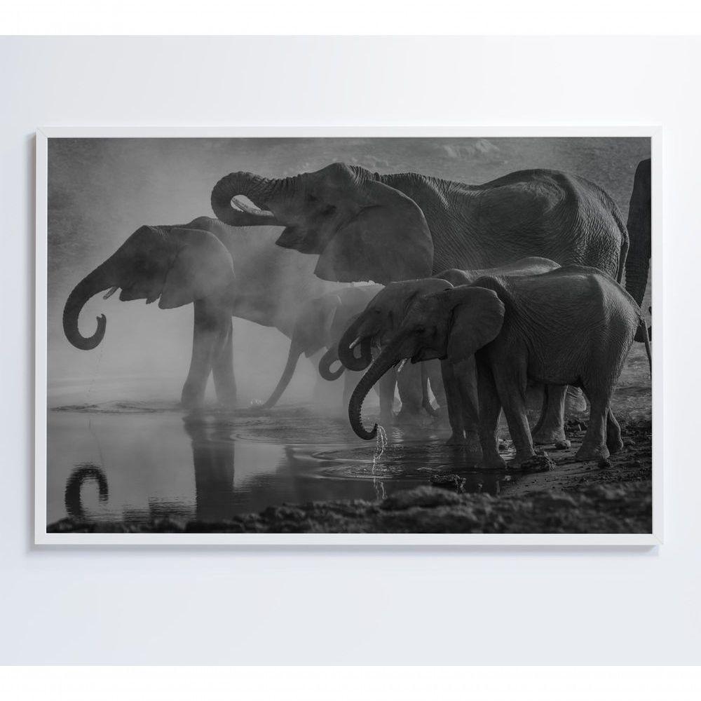 Quadro Elefantes 120x80 Cm Adesivo Fotográfico - 1