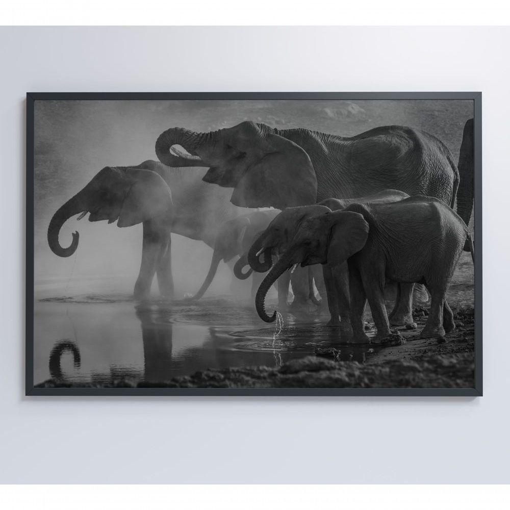 Quadro Elefantes 120x80 Cm Adesivo Fotográfico - 5