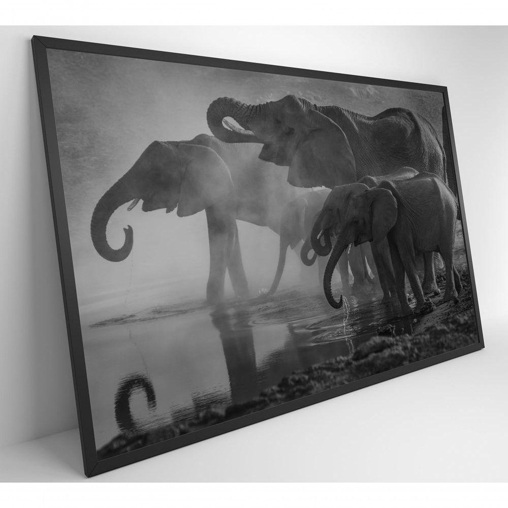 Quadro Elefantes 120x80 Cm Adesivo Fotográfico - 9