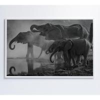 Quadro Elefantes 120x80 Cm Adesivo Fotográfico - 1