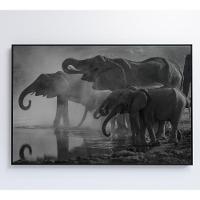 Quadro Elefantes 120x80 Cm Adesivo Fotográfico