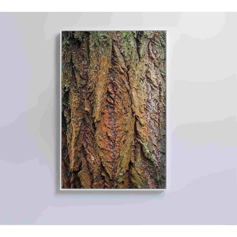 Quadro Tronco árvore Detalhe 40x60 Cm Vidro Impresso - 4