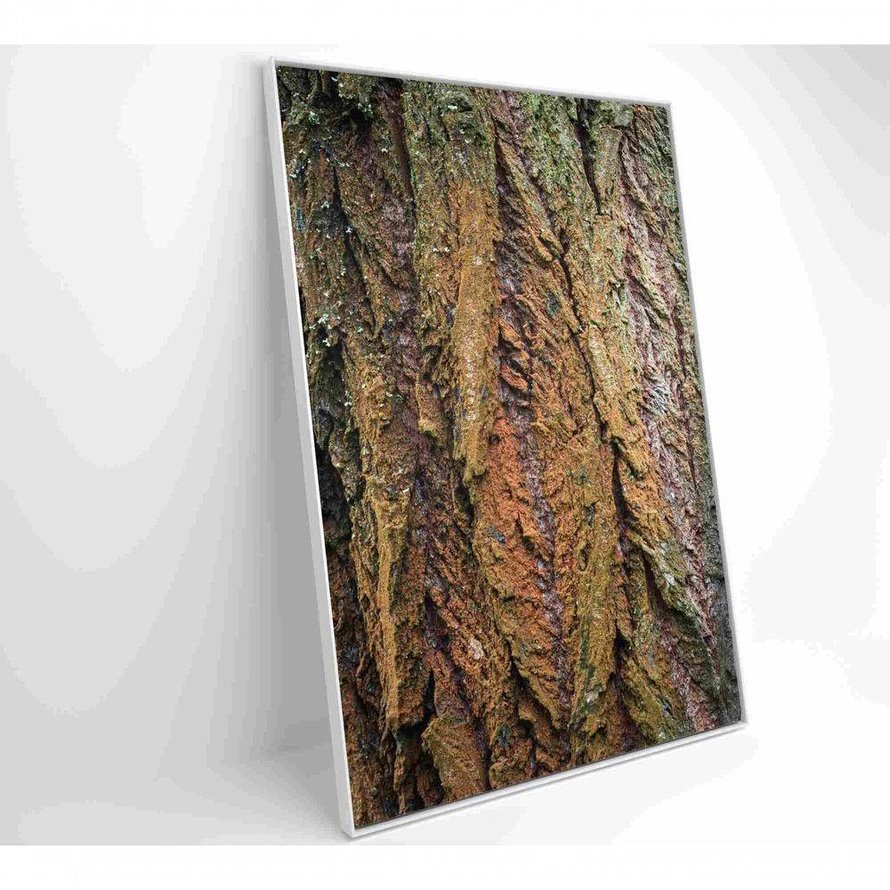 Quadro Tronco árvore Detalhe 40x60 Cm Vidro Impresso - 6