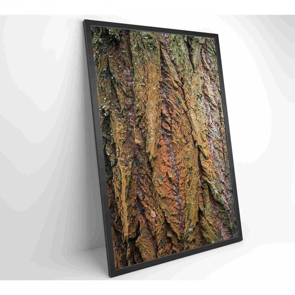Quadro Tronco árvore Detalhe 40x60 Cm Vidro Impresso - 7