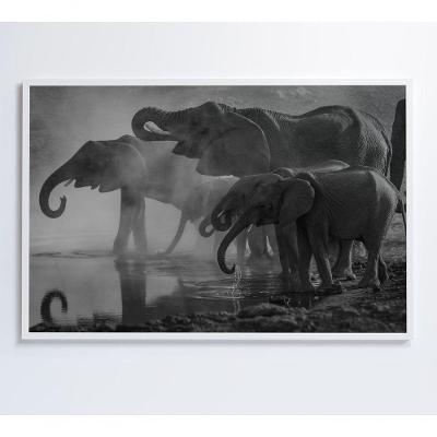 Quadro Elefantes 60x40 Cm Vidro Impresso