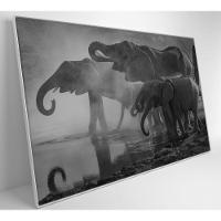Quadro Elefantes 90x60 Cm Tecido Canvas - 7