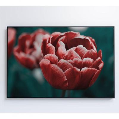 Quadro Tulipa Vermelha 120x80 Cm Vidro Impresso
