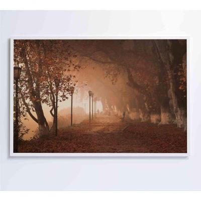 Quadro Bosque 120x80 Cm Tecido Canvas