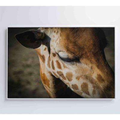 Quadro Girafa 90x60 Cm Vidro Impresso